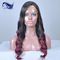 Le parrucche piene del pizzo dei capelli umani di Remy delle donne di colore aggrovigliano a 24 pollici libero fornitore