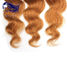 Estensioni variopinte per le ragazze, estensioni reali colorate dei capelli umani dei capelli fornitore