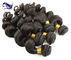Capelli neri naturali del vergine di Remy del brasiliano dei capelli vergini a 24 pollici del grado 7A fornitore